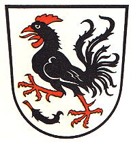 Hahn Family Coat of Arms